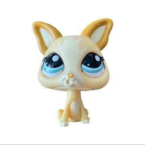 Littlest Pet Shop Chihuahua #1656 Retired